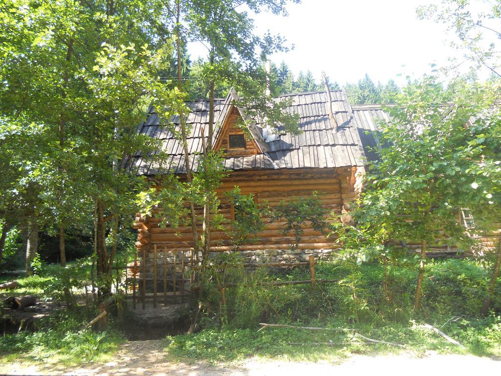 Holiday Park Zelenkovac Podrasnica Exterior foto