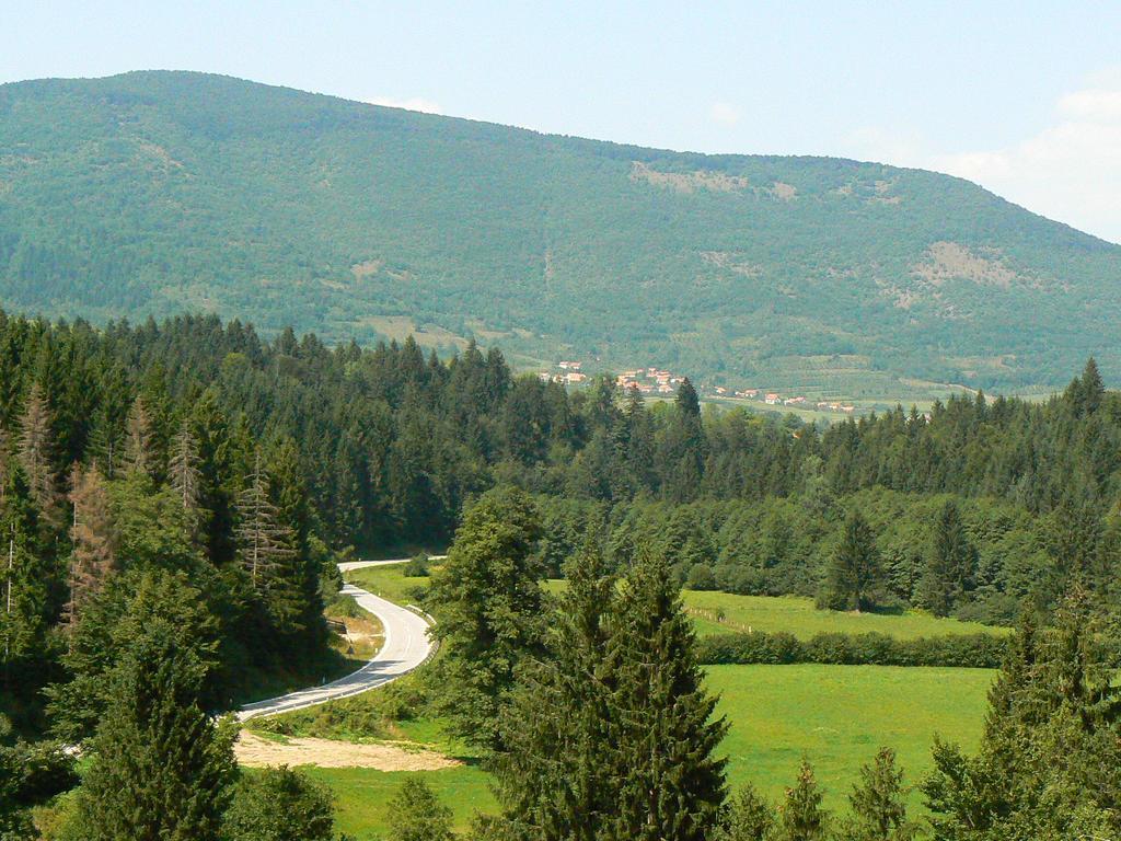 Holiday Park Zelenkovac Podrasnica Exterior foto