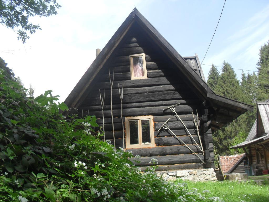 Holiday Park Zelenkovac Podrasnica Exterior foto